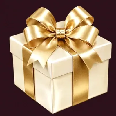 Ribboned gift box — Spinobon