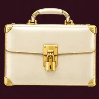 Locked leather briefcase — Spinobon