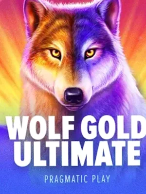 Wolf Gold Ultimate at Spinobon
